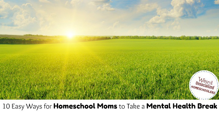 10 Easy Ways for Homeschool Moms to Take a Mental Health Break