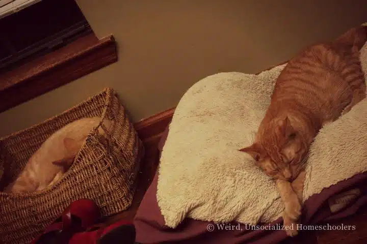 Gus and Jack