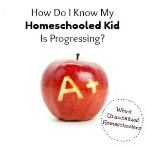 How Do I Know My Homeschooled Kid Is Progressing?