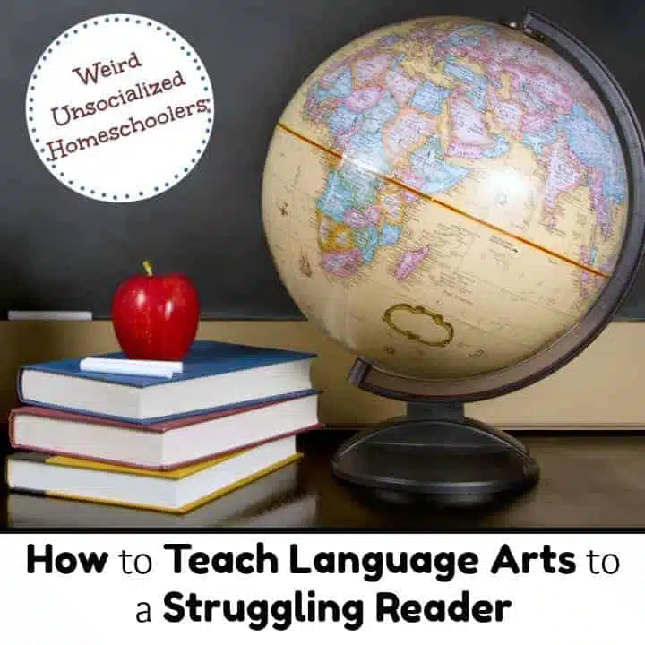 How to Teach Language Arts to a Struggling Reader
