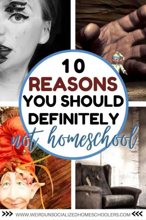 Thinking of homeschooling? Don't do it! This tongue-in-cheek homeschool humor article explains why you should definitely not homeschool. (But you really should!) #homeschool #homeschooling #humor