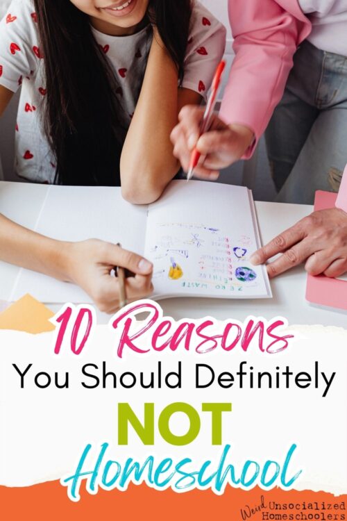 10 Reasons You Should Not Homeschool
