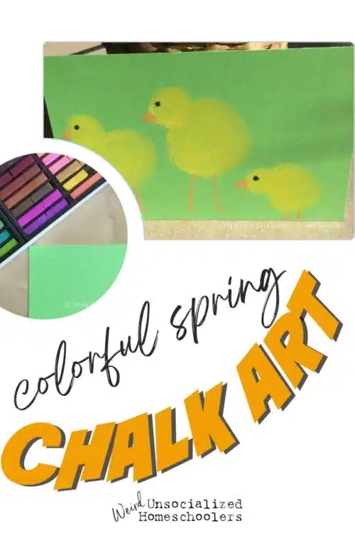 Even if spring hasn’t quite arrived in your area, you can begin to bring the fun signs of the season into your home with simple and colorful spring chalk art projects.