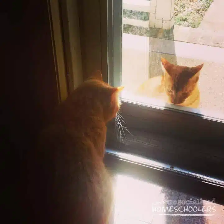 mirror image