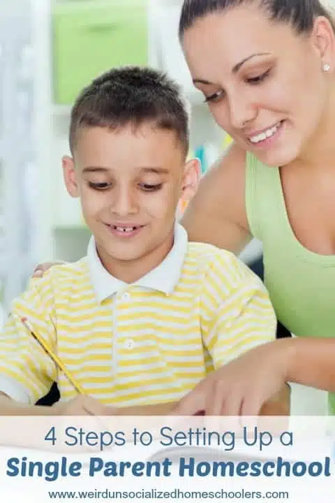4 Steps to Setting Up a Single Parent Homeschool 4 Steps to Setting Up a Single Parent Homeschool