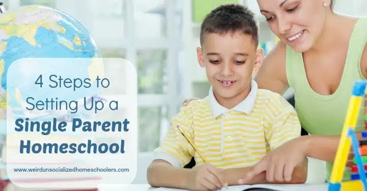 4 Steps to Setting Up a Single Parent Homeschool 4 Steps to Setting Up a Single Parent Homeschool
