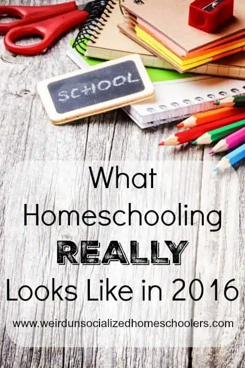 What Homeschooling REALLY Looks Like in 2016 What Homeschooling REALLY Looks Like in 2016
