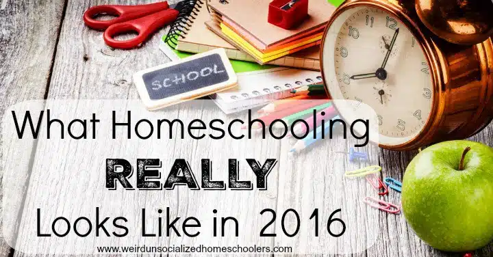 What Homeschooling REALLY Looks Like in 2016 What Homeschooling REALLY Looks Like in 2016