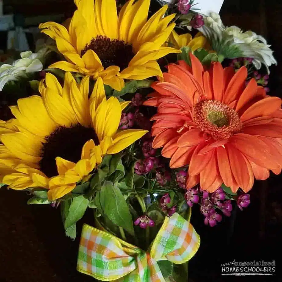 sunflowers and gerbera daisies