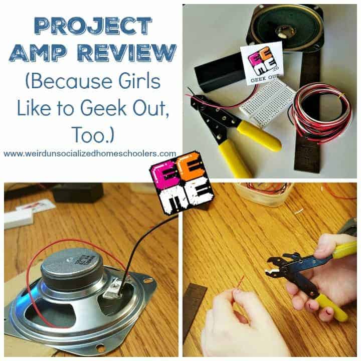 Girls Like to Geek Out, Too! (A Project Amp Review)
