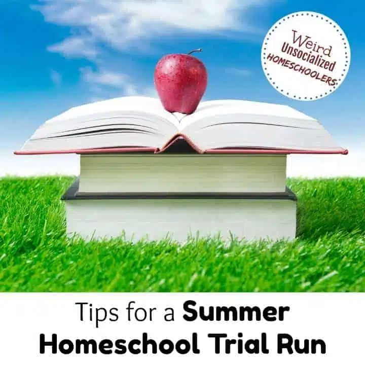 Tips for a Summer Homeschool Trial Run