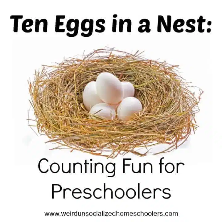 Ten Eggs in a Nest Counting Fun for Preschoolers