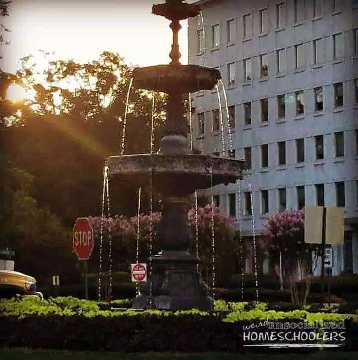 fountain