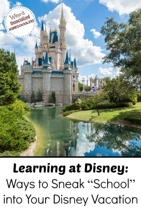 Learning at Disney