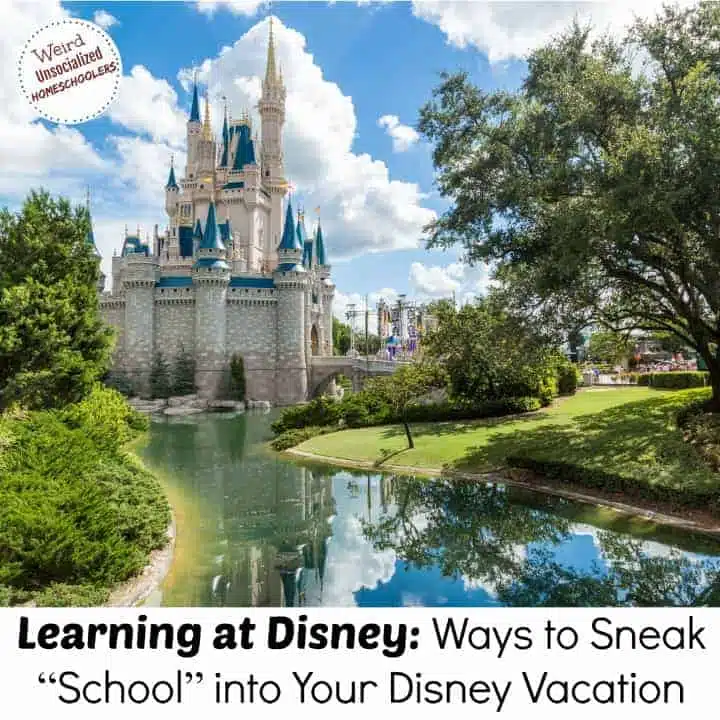 Learning at Disney: Ways to Sneak “School” into Your Disney World Vacation