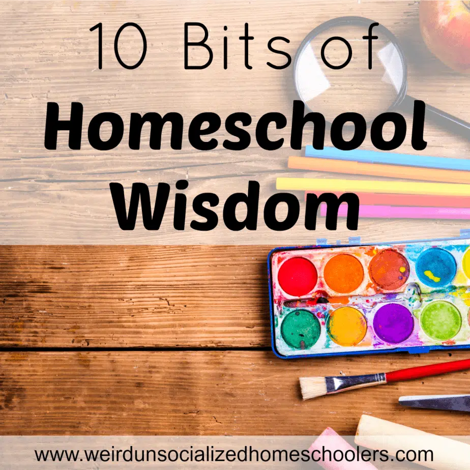 10 Bits of Homeschool Wisdom
