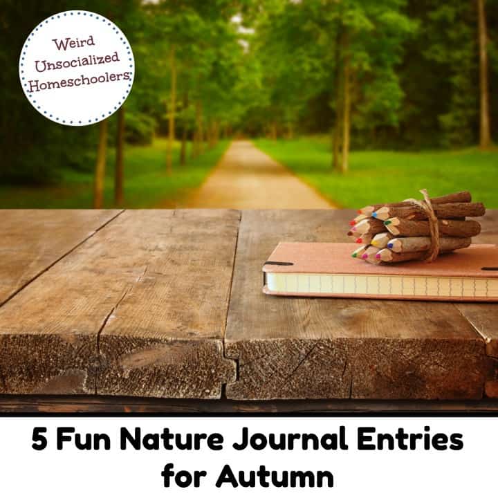 5 Fun Nature Journal Entries for Autumn