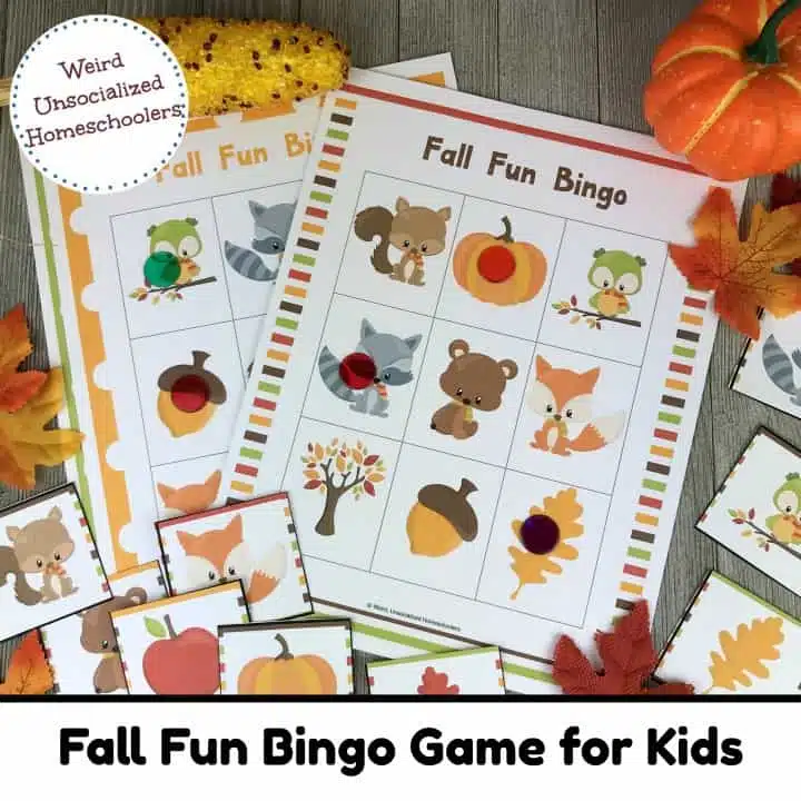 Fall Fun Bingo Game for Kids