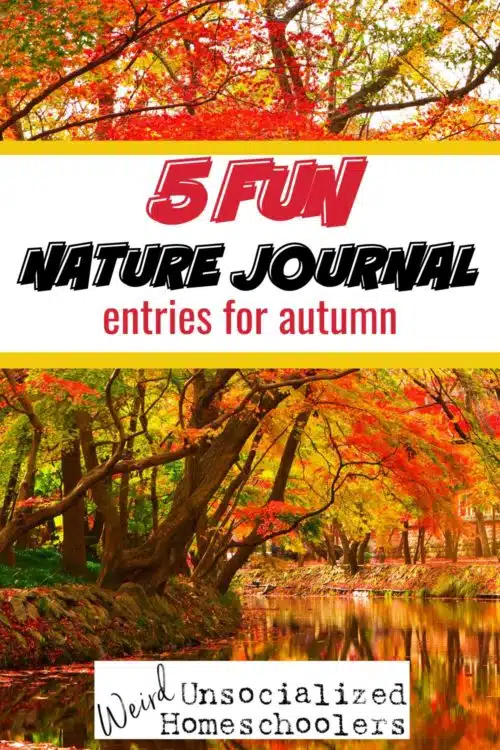 Get outdoors this fall and enjoy the cooler weather with these creative autumn nature study ideas. Try a twist on word finds, wildlife tales, and more.