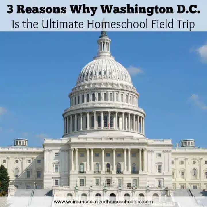 3 Reasons Why Washington D.C. Is the Ultimate Homeschool Field Trip