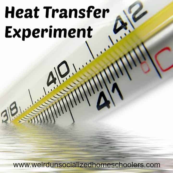 Heat Transfer Experiment