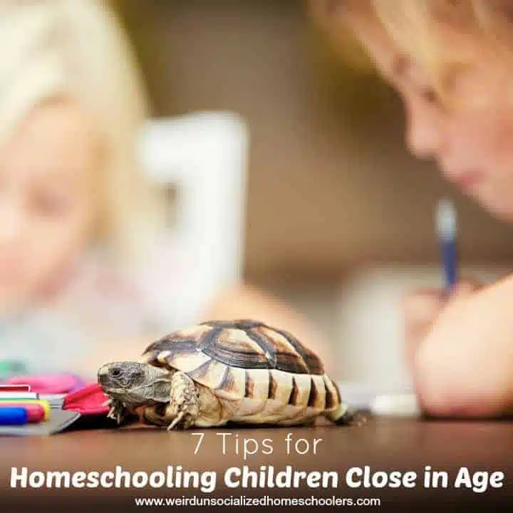 7 Tips for Homeschooling Children Close in Age