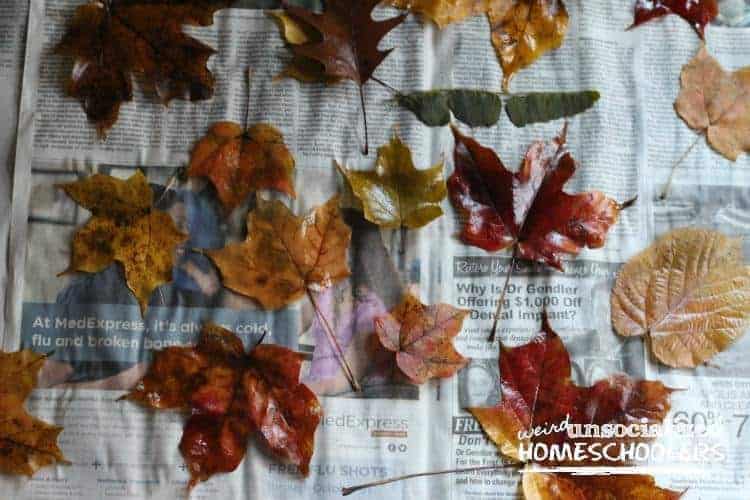 craft projects with fall leaves