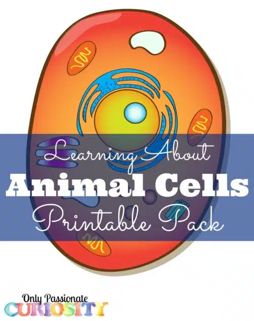 Animal Cell Printable pack