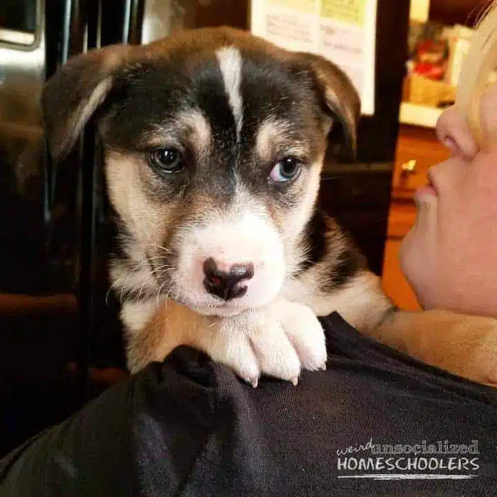 brianna-and-belle