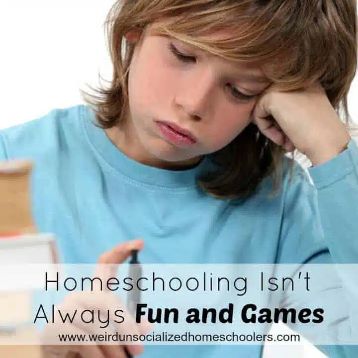 Homeschooling Isn’t Always Fun and Games