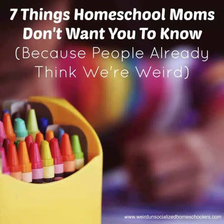 7 Things Homeschool Moms Don’t Want You To Know (Because People Already Think We’re Weird)