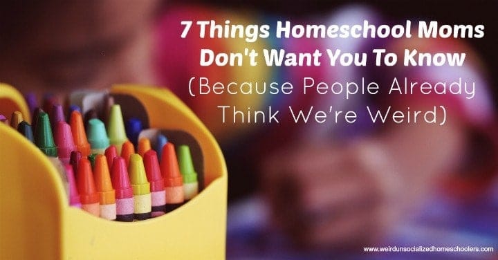 7 Things Homeschool Moms Don't Want You to Know