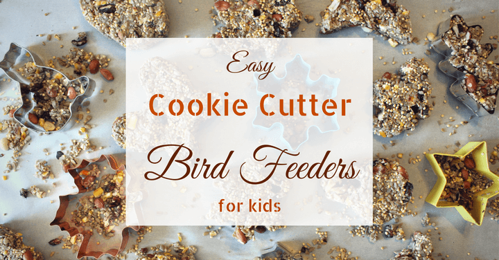 Easy Cookie Cutter Bird Feeders for Kids 6