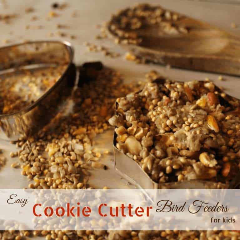 Easy Cookie Cutter Bird Feeders for Kids