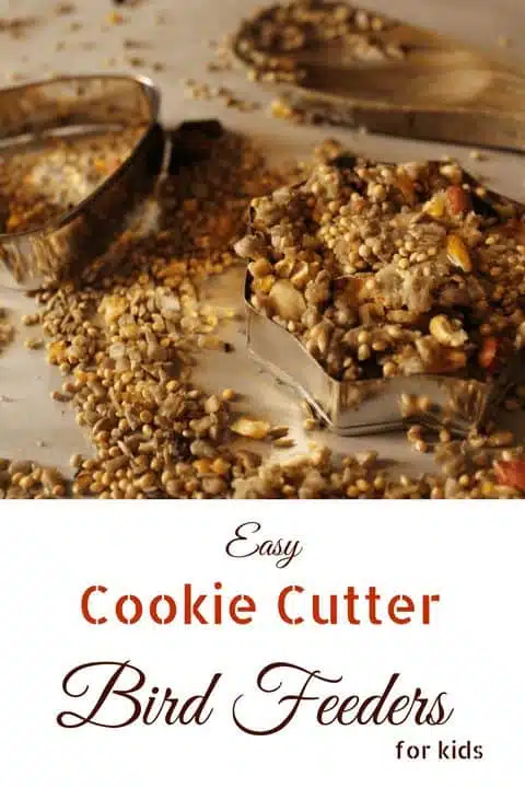 Easy Cookie Cutter Bird Feeders for Kids