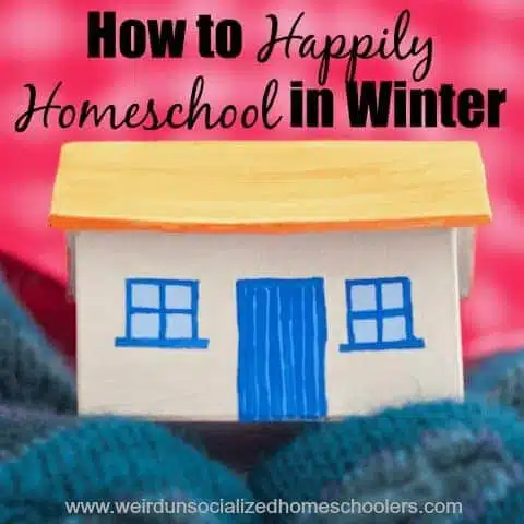 How to Happily Homeschool in Winter