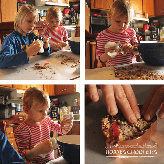 Easy Cookie Cutter Bird Feeders for Kids 4