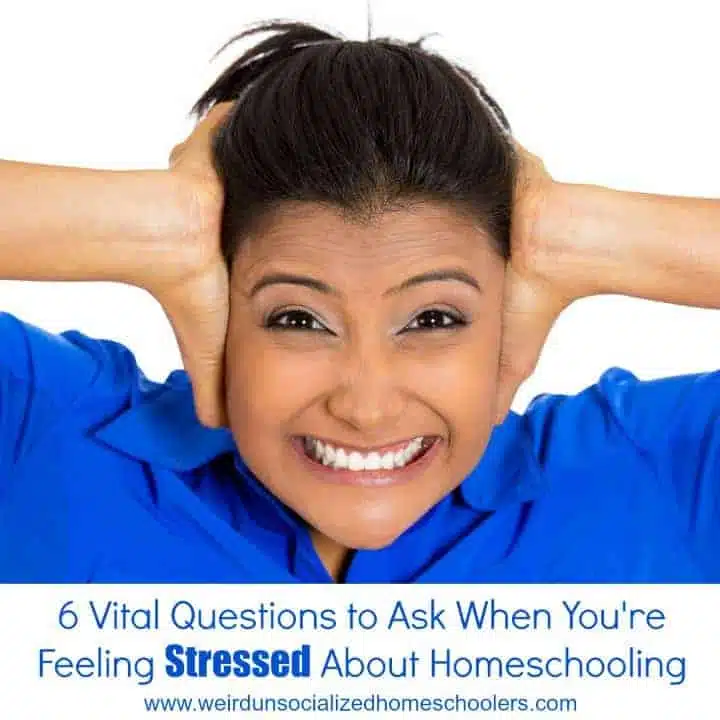 6 Vital Questions to Ask When You’re Feeling Stressed About Homeschooling