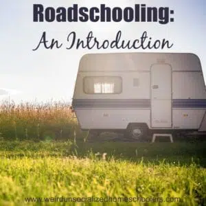 Roadschooling: An Introduction