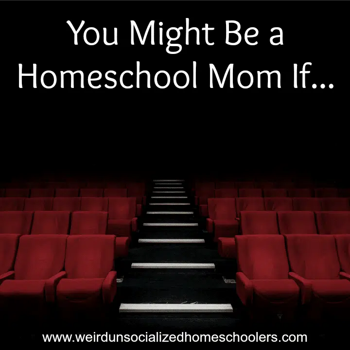 You Might Be a Homeschool Mom If…