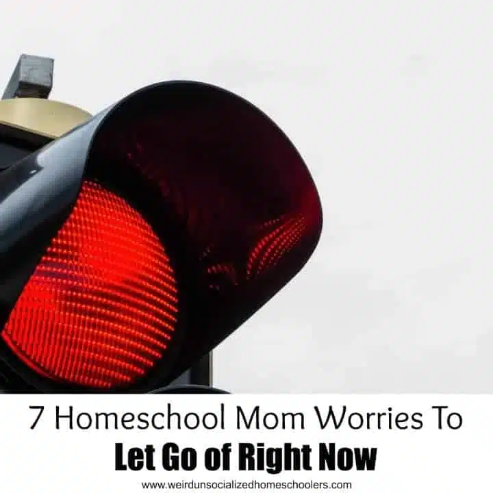 7 Homeschool Mom Worries To Let Go of Right Now