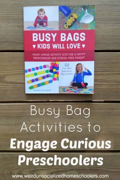 Busy Bag Activities Kids Will Love