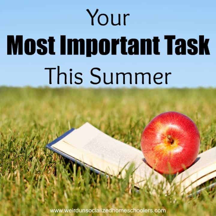 Your Most Important Task This Summer - Weird, Unsocialized Homeschoolers