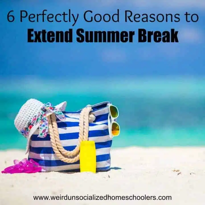 6 Perfectly Good Reasons to Extend Summer Break