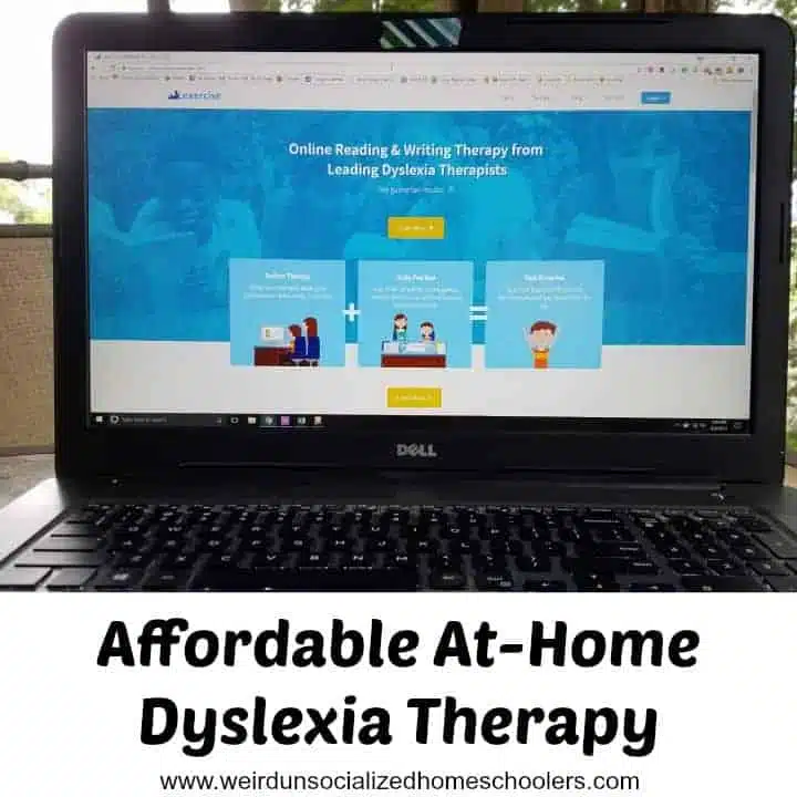 Affordable At-Home Dyslexia Therapy