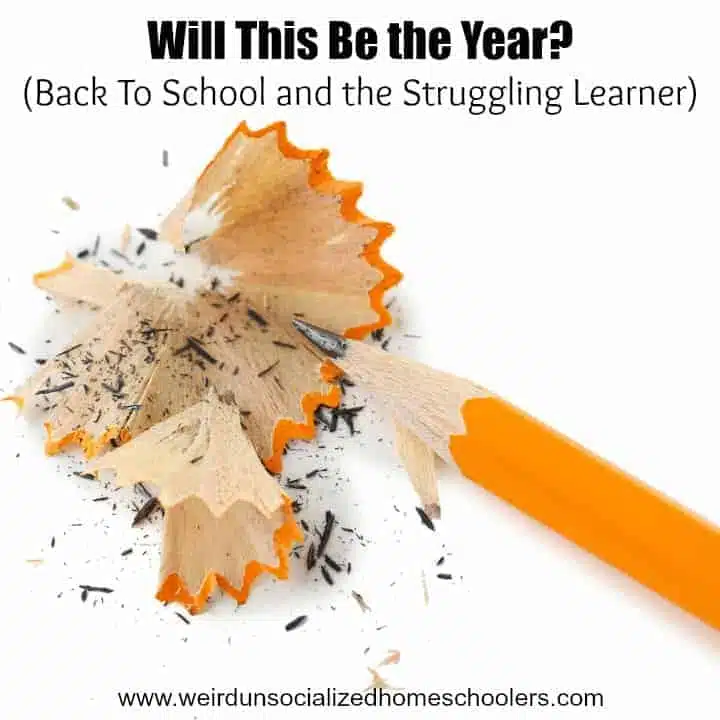 Will This Be the Year? (Back to School and the Struggling Learner)