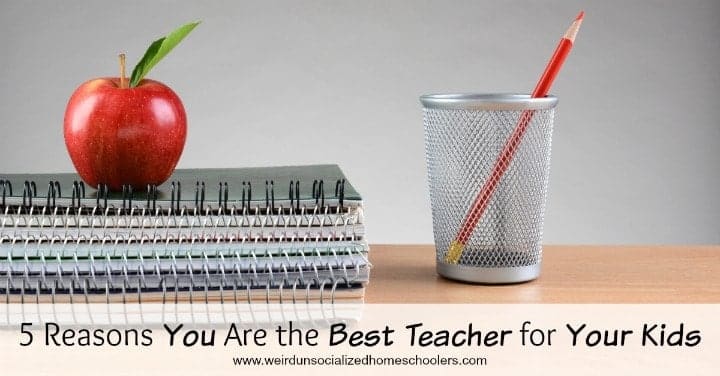 5 Reasons You Are the Best Teacher for Your Kids 5 Reasons You Are the Best Teacher for Your Kids