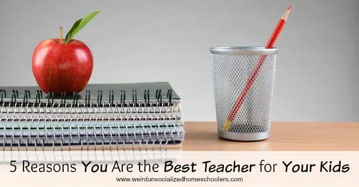 5 Reasons You Are the Best Teacher for Your Kids