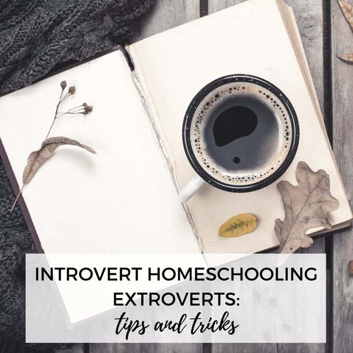 Introvert Homeschooling Extroverts: Tips and Tricks