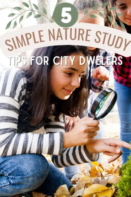 No matter where you live, there are nature study opportunities that are sure to be available. Here are some ideas even if you live somewhere that seems extremely unconducive to regular nature study, there are ways to ensure that it happens.